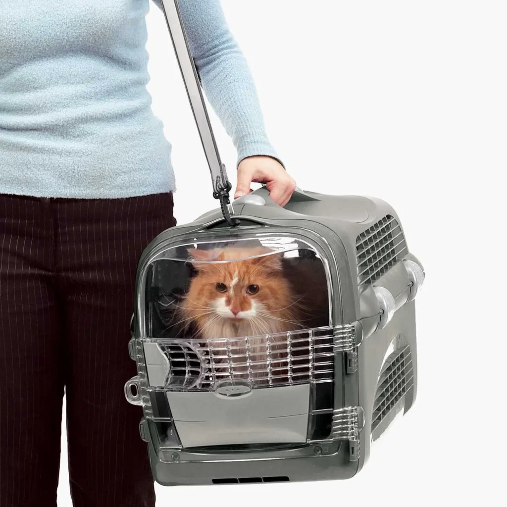Transporter Catit Design Cabrio – turkusowo-szary