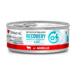 RECOVERY – dieta rekonwalescencyjna po chorobach i zabiegach