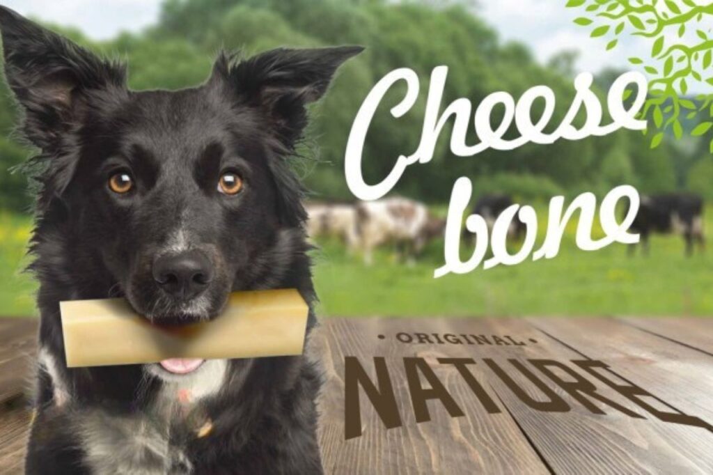 Ser himalajski dla psa – co to jest i dlaczego warto go podawać?